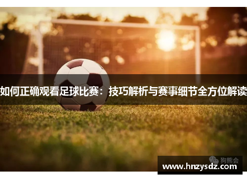 如何正确观看足球比赛：技巧解析与赛事细节全方位解读